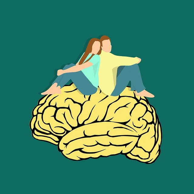 brain