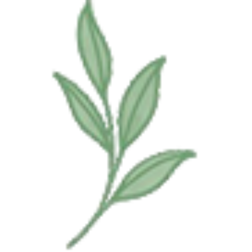 cropped-favicon.png